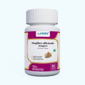 Anjix Ginger Root Extract | 3% Gingerol
