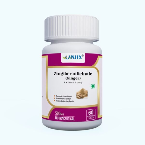 Anjix Ginger Root Extract | 3% Gingerol