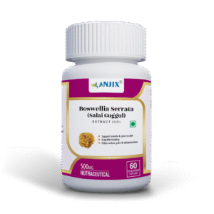 Anjix - Boswellia Serrata Extract - 60 Veg Caps